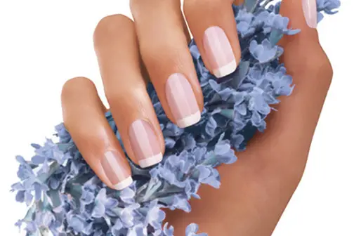 Eter'Nail — photo 5