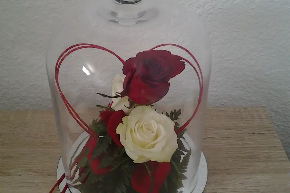 N & Z Décorateurs d'exception — photo 7