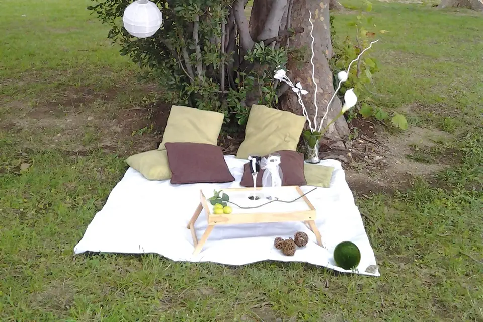 N & Z Décorateurs d'exception — photo 8