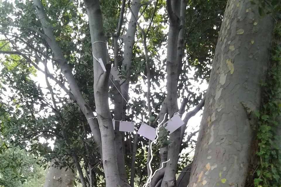 N & Z Décorateurs d'exception — photo 5