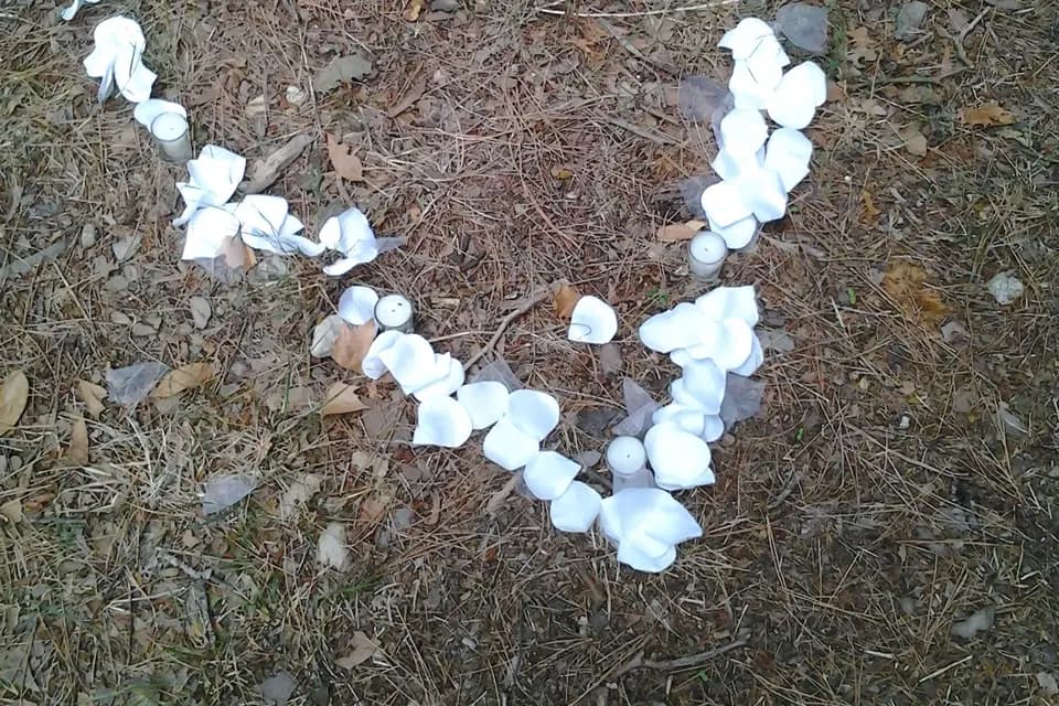 N & Z Décorateurs d'exception — photo 4