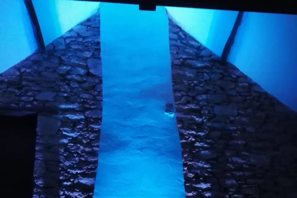 DJ BleX Entertainment — photo 6