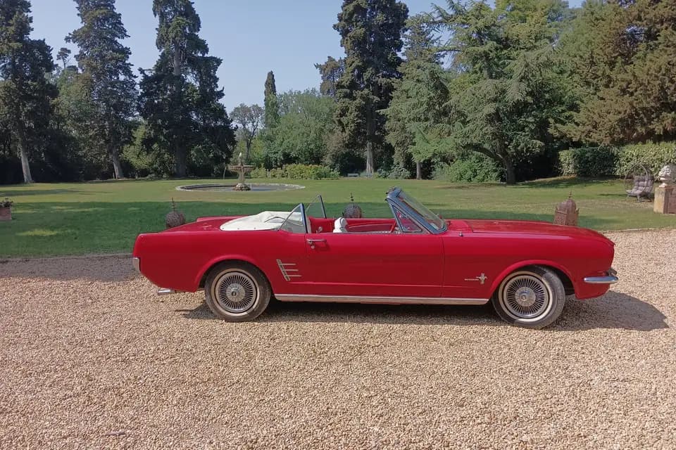 Loc Vintage Passion — photo 8