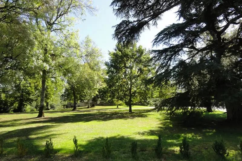 Château Les Bouysses — photo 6