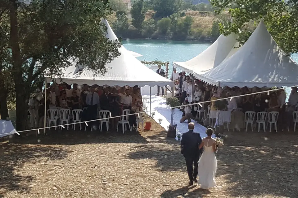 Réal Plantain — photo 7