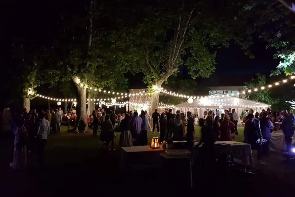 Réal Plantain — photo 4