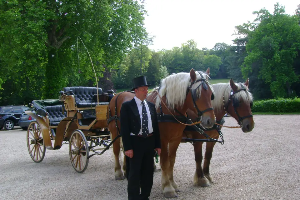 Hippomobilité Services — photo 1