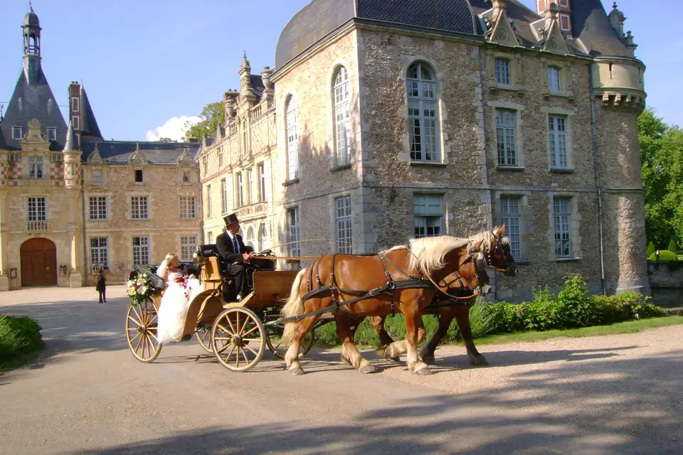 Hippomobilité Services — photo 2