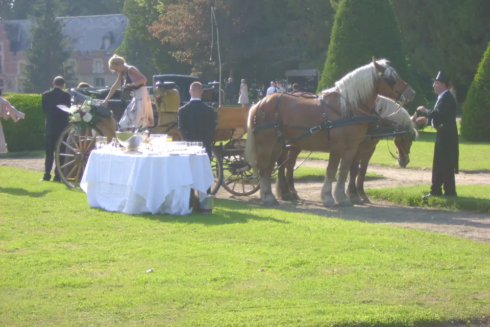 Hippomobilité Services — photo 3