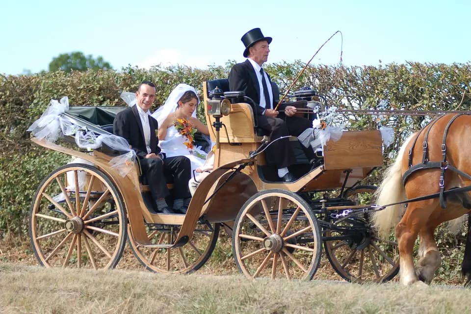 Hippomobilité Services — photo 5