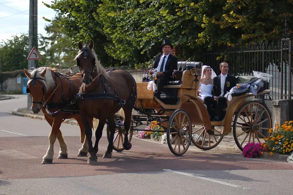 Hippomobilité Services — photo 7