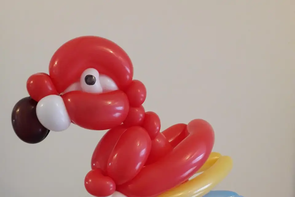 Clem'Ballooning — photo 3