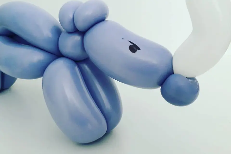 Clem'Ballooning — photo 6