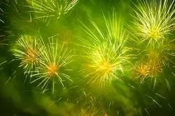 Mille et Une Etoiles — photo 4