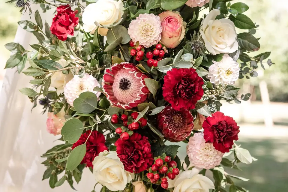 Tweedia Fleuriste — photo 3