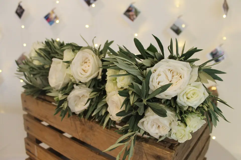 Tweedia Fleuriste — photo 5