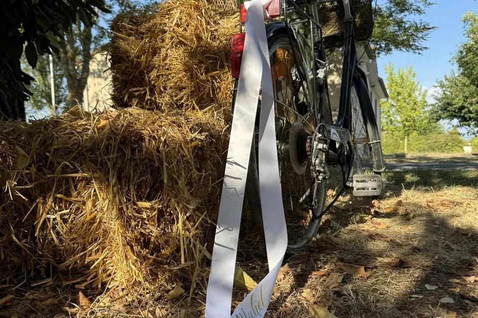 Hero Skyview — photo 4