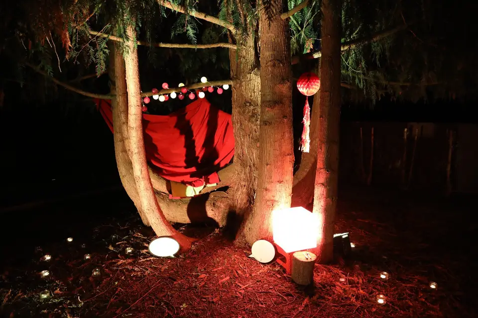 Sonodrone — photo 8