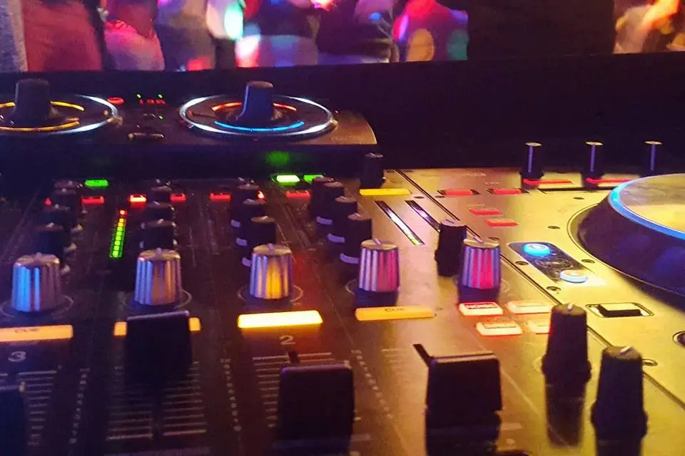 Animusical — photo 6