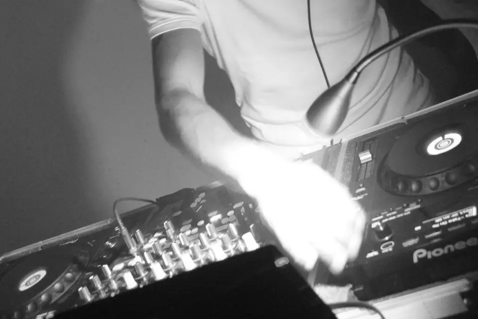 Animusical — photo 4