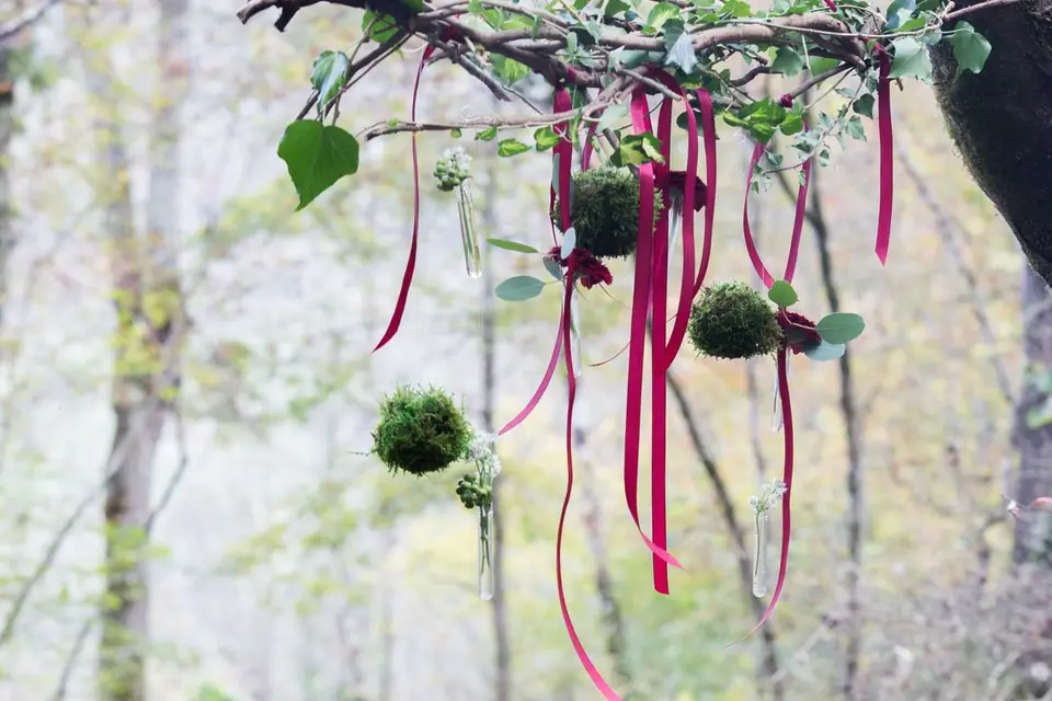 La mauvaise herbe — photo 1