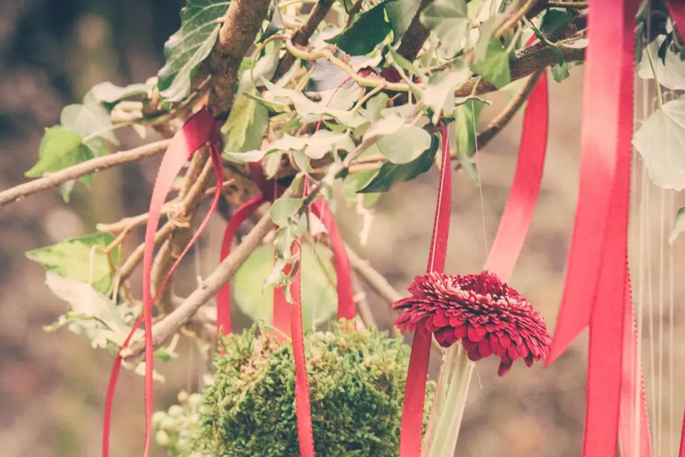 La mauvaise herbe — photo 2