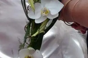 Aux Iles Fleuries — photo 3