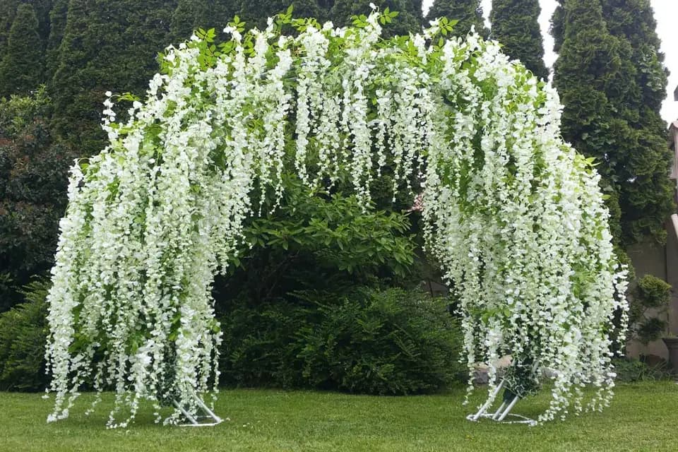 Deco-Rent — photo 2