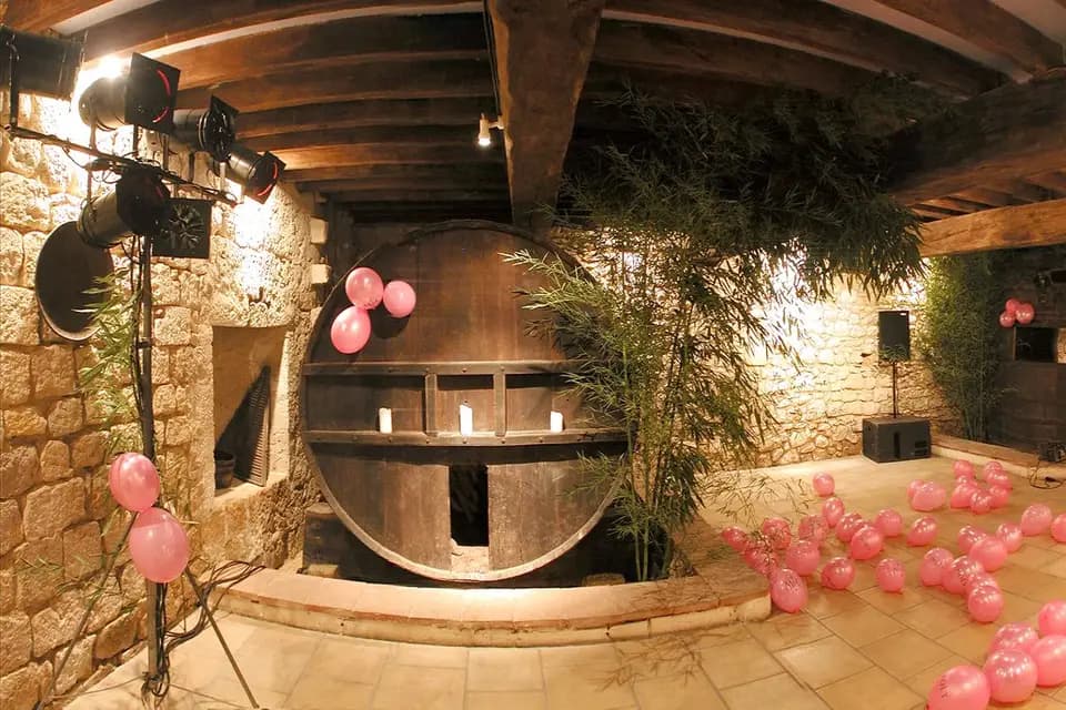 Château d'Aubiac en Gascogne — photo 9