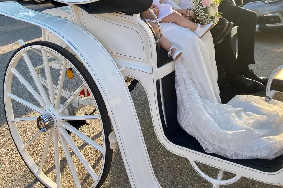 Attelage du Pays Viennois — photo 4