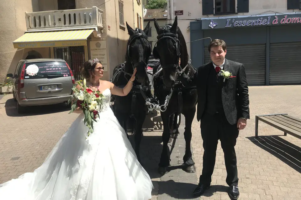 Attelage du Pays Viennois — photo 8