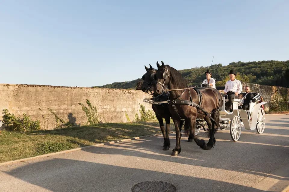 Attelage du Pays Viennois — photo 3