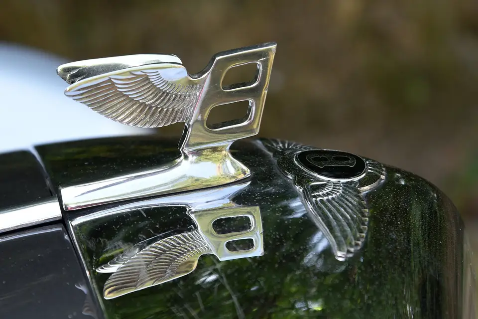 TranspElio — photo 1