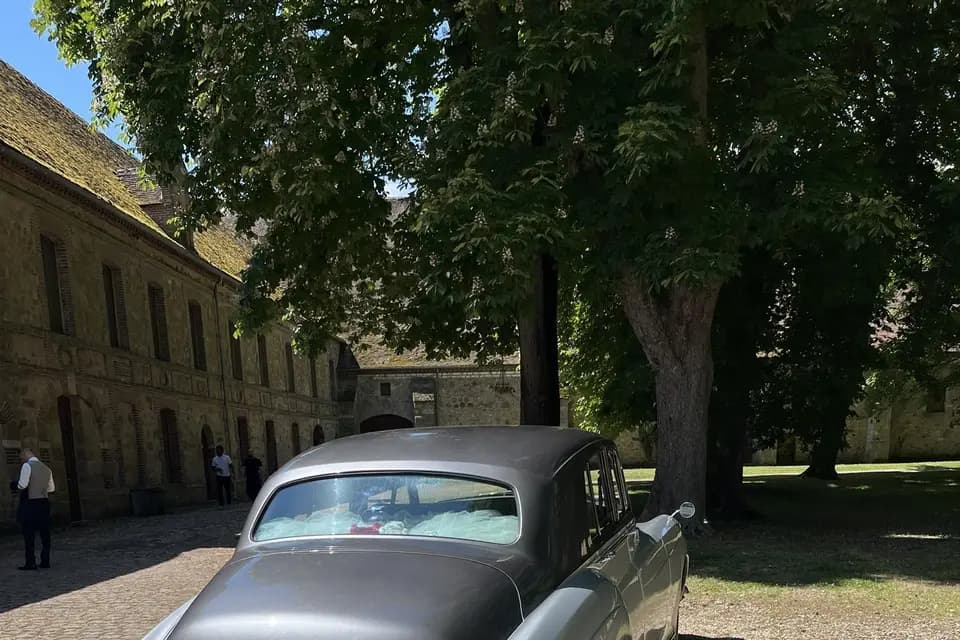 TranspElio — photo 3