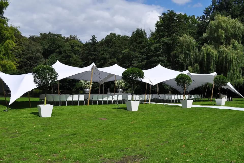 Wood Stock Réception — photo 8