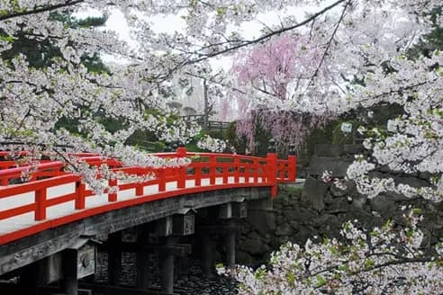 Voyages Ruban Bleu — photo 3