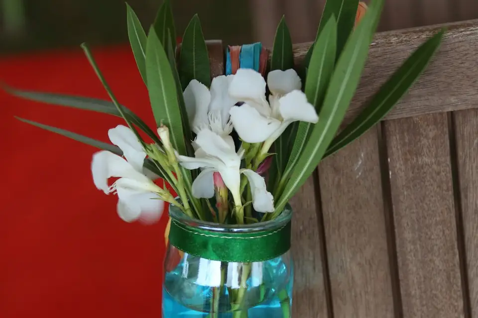 Kassiopée Events — photo 2