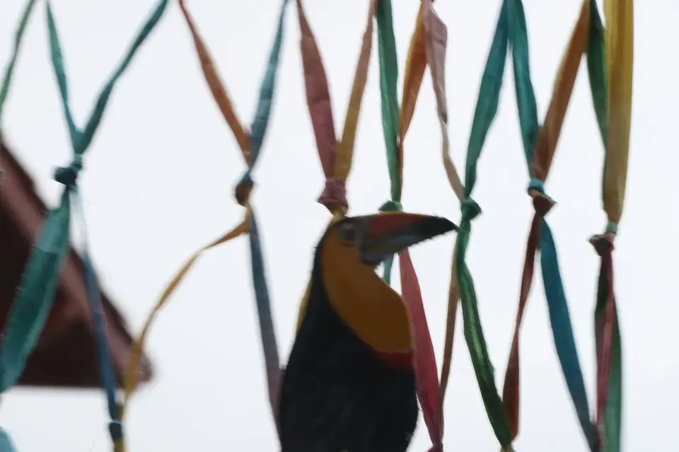 Kassiopée Events — photo 5