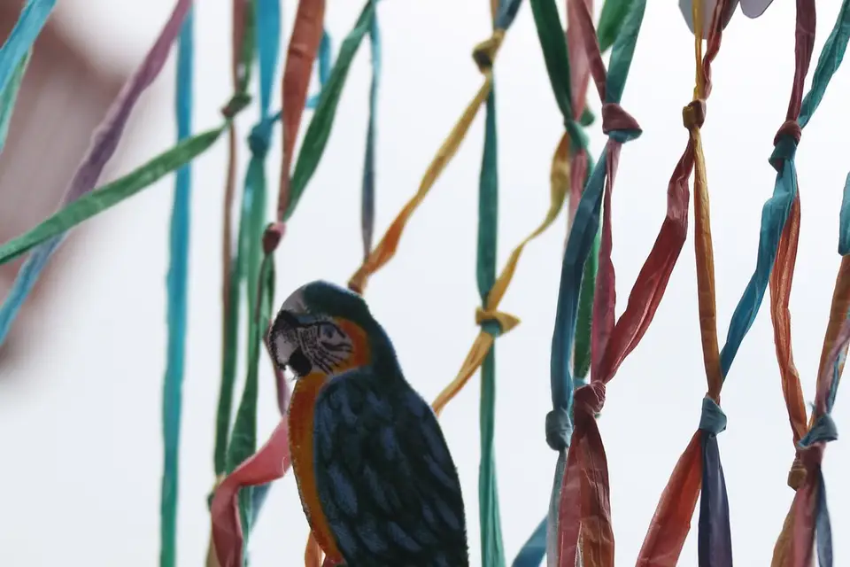 Kassiopée Events — photo 7