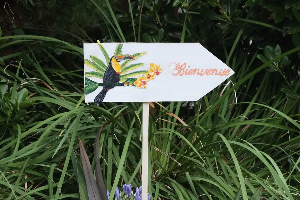 Kassiopée Events — photo 1