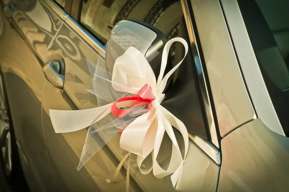 Driver BC — photo 3