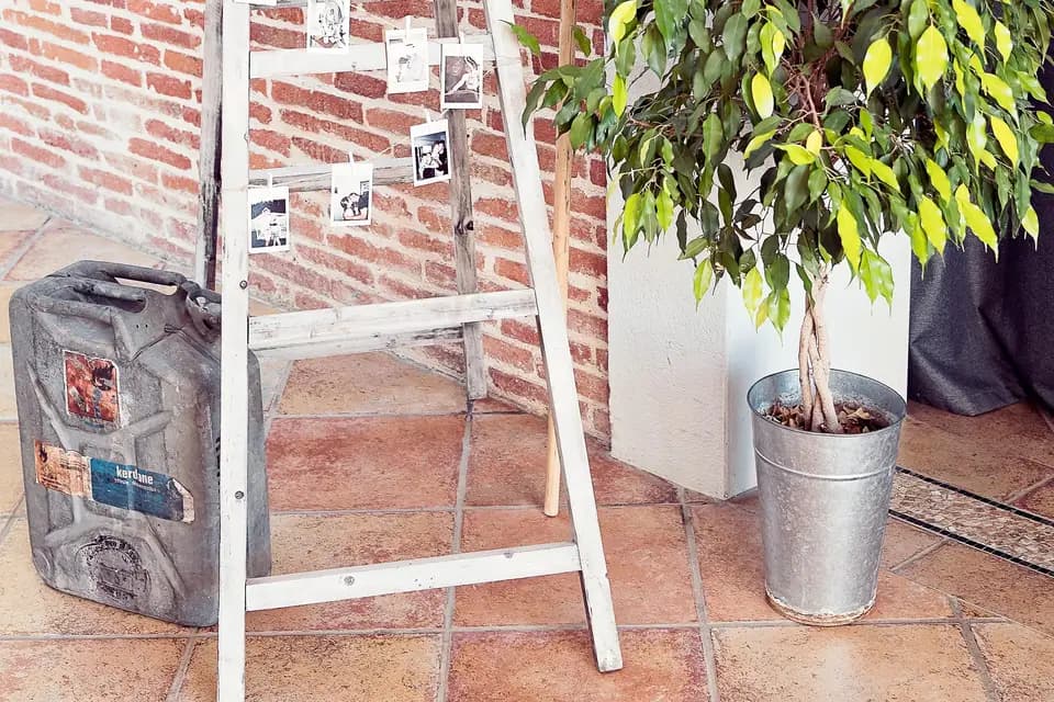 Capsule d'Etoiles — photo 3