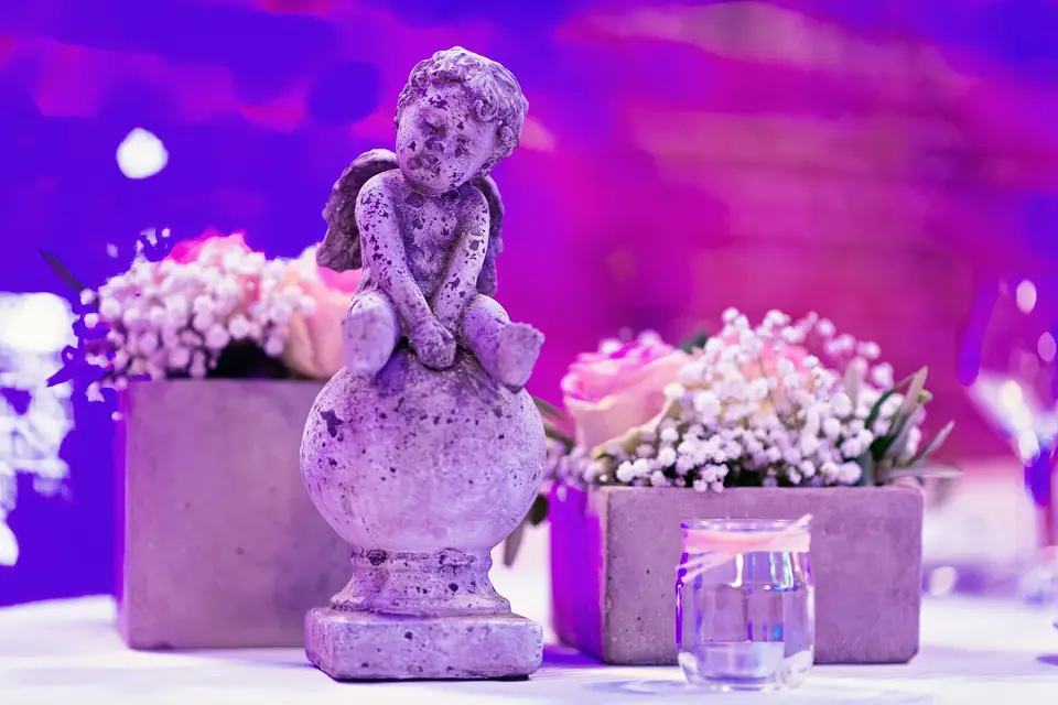 Capsule d'Etoiles — photo 4