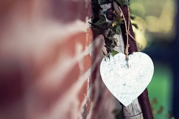 Capsule d'Etoiles — photo 7