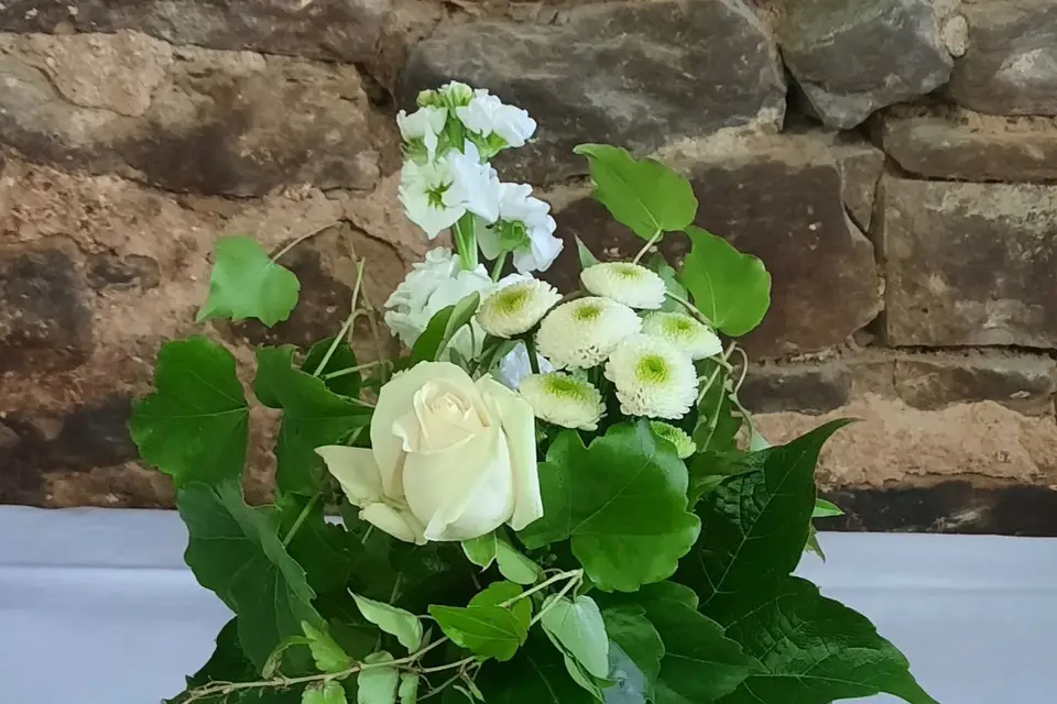 Croisière Fleurs — photo 7