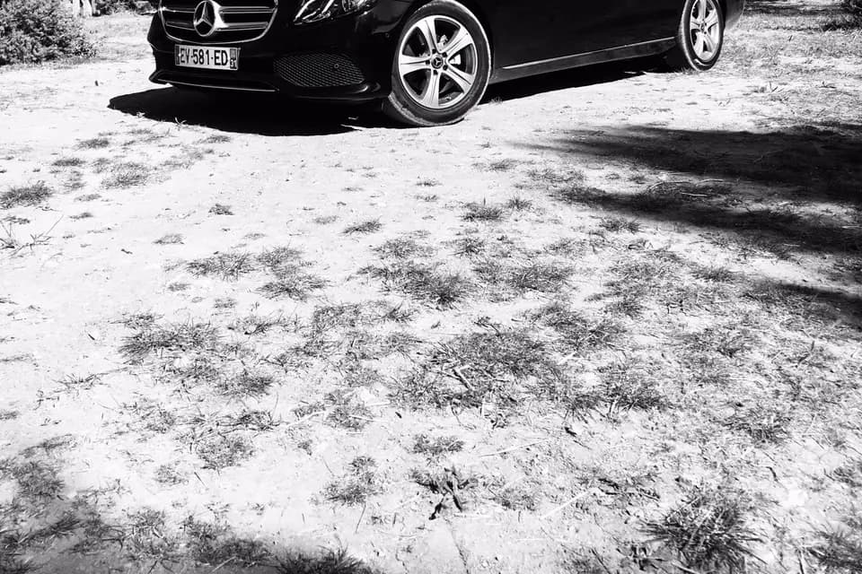 Pegazur Vtc — photo 3