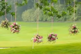 Orgafêtes — photo 1