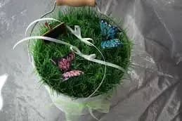 Orgafêtes — photo 3