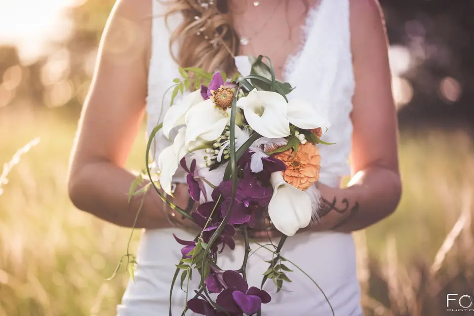 Focus Photographie — photo 7