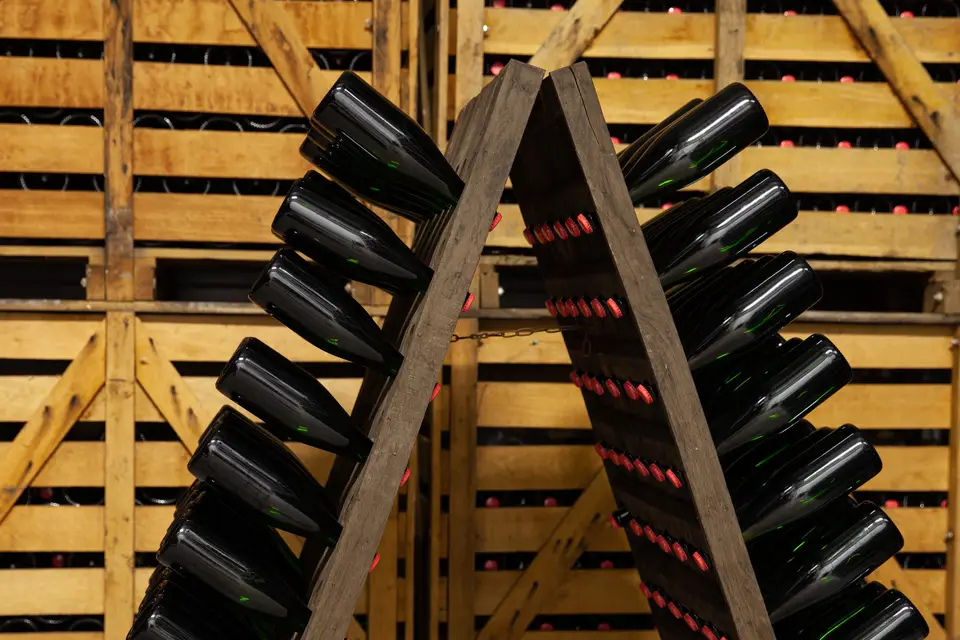 Champagne Moutard Dangin — photo 7